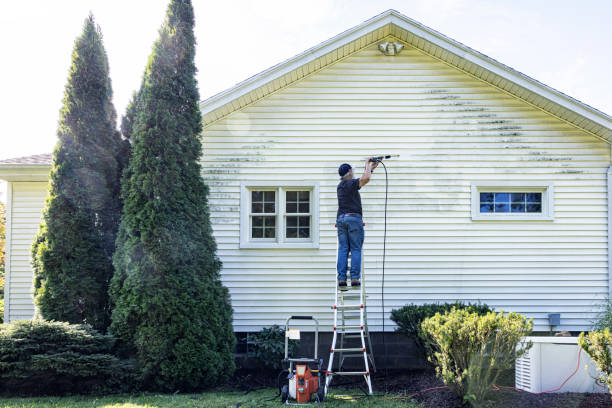 Best Dumpster Area Cleaning  in Honsville, GA